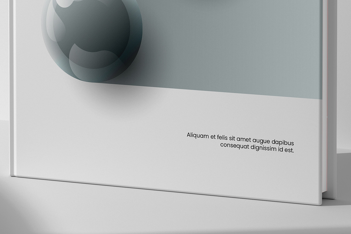 Hardcover 5x8 inch Book Mockup, a Books & Magazine Mockup by Illusiongraphic (Photo 20 of 32)