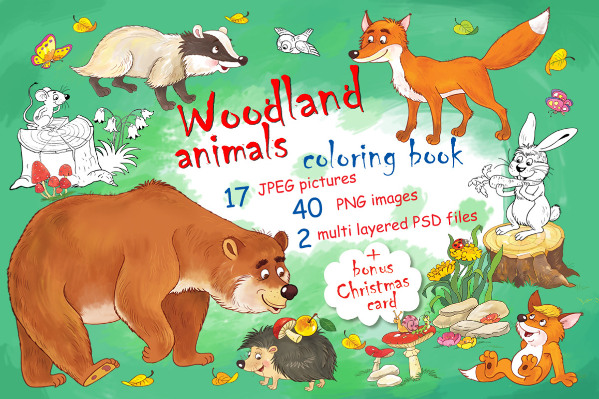 Cute woodland animals bundle, an Animal Illustration by Haso (Photo 1 of 10)