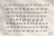 Aiglon Drame - Modern Ligature Serif, a Serif Font by erlosDESIGN (Thumbnail 12 of 13)