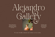 Frestin Elegant Serif Font, a Serif Font by Graphicxell (Thumbnail 4 of 8)