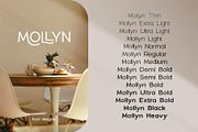 Mollyn Typeface, a Sans Serif Font by alit design (Thumbnail 14 of 17)