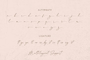 Felicity - Handwritten Font, a Script Font by Alpaprana (Thumbnail 11 of 12)