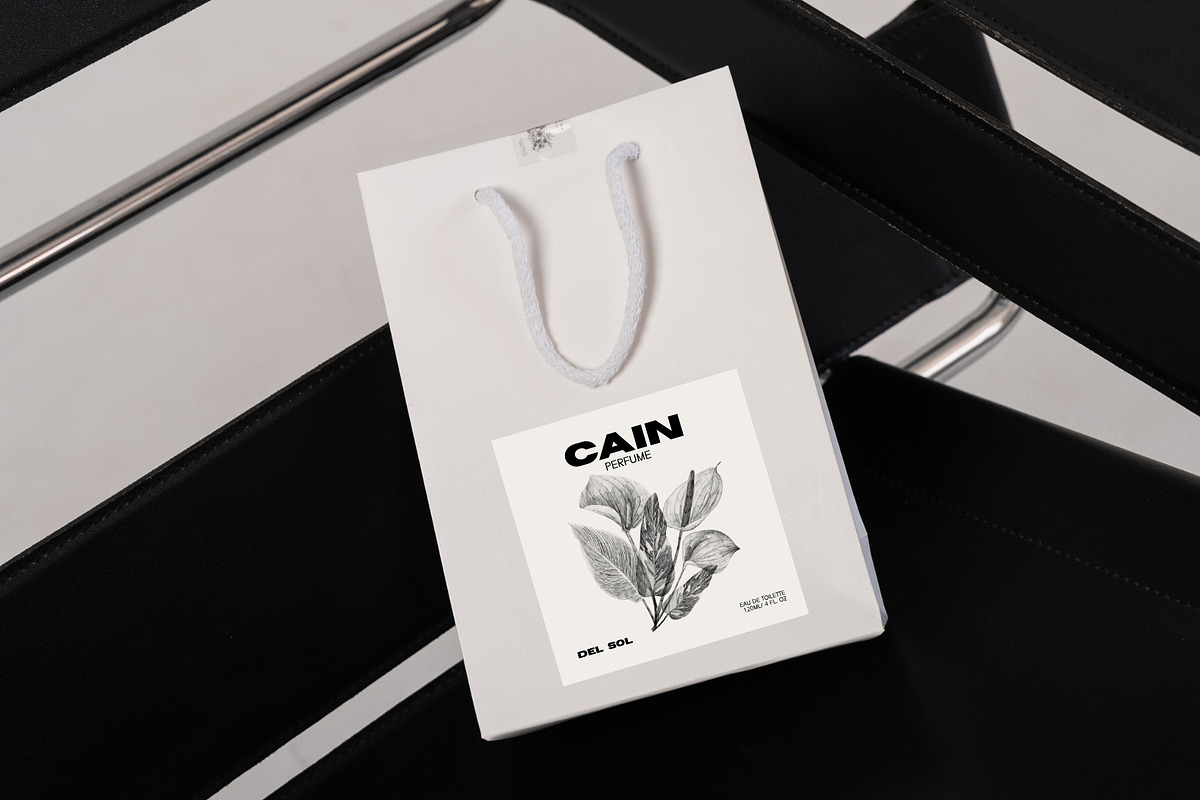 CAIN FONT - MODERNDISPLAY SAN SERIF, a Sans Serif Font by BURSTYPE (Photo 5 of 9)
