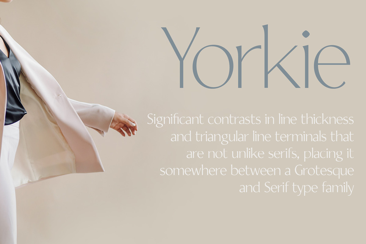 Yorkie font family by Fontpeople, a Sans Serif Font by FontPeople (Photo 2 of 6)
