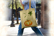 Autumn pumpkins watercolor clipart, a Decorative Illustration by susie-p-art (Thumbnail 5 of 17)