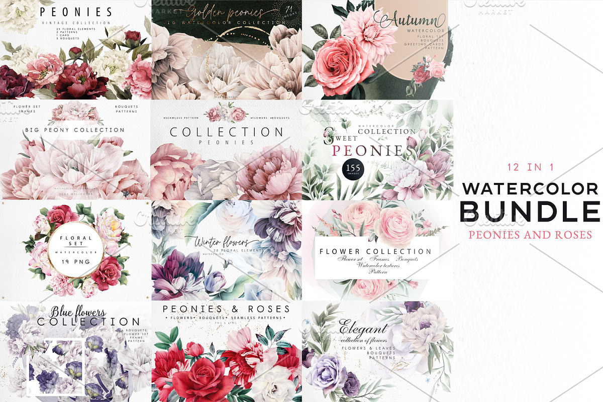 WATERCOLOR BUNDLE Peonies & Roses, an Illustration by ollalya (Photo 1 of 101)