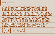 The Gasone | Western Slab Serif, a Slab Serif Font by Denustudios (Thumbnail 13 of 15)