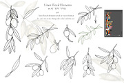 Watercolor Olives collection, a Graphic by MayaNavits (Thumbnail 9 of 25)