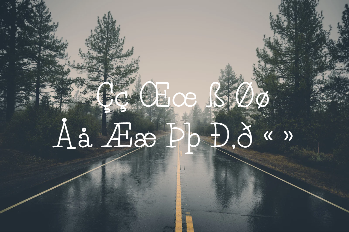Pine Tall serif font, a Serif Font by TNE Designs (Photo 4 of 5)
