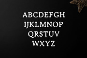 Ireene Serif 3 Font Family Pack, a Serif Font by Creativetacos (Thumbnail 2 of 6)