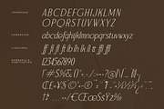 Serafilms Modern Stylish Serif, a Serif Font by Storytype Studio (Thumbnail 14 of 15)