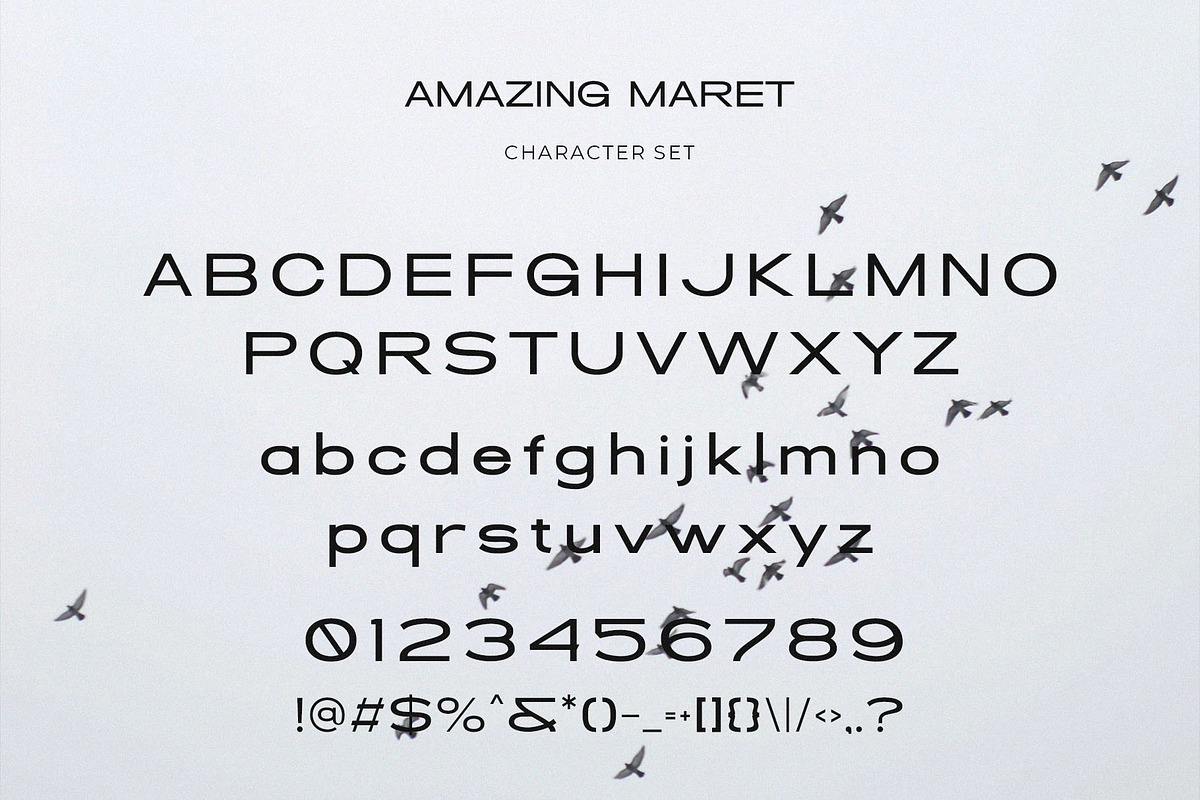 Amazing Maret - Modern Condensed San, a Sans Serif Font by TypeLogue (Photo 5 of 5)