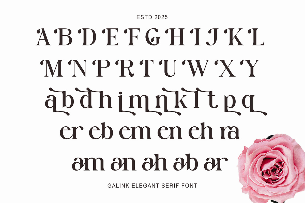 Galink New Elegant  Serif, a Serif Font by Muflieart (Photo 9 of 9)