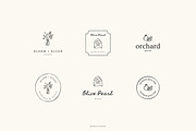 Botanical logos Vol. 4, a Branding & Logo Template by Crocus Paperi (Thumbnail 3 of 16)