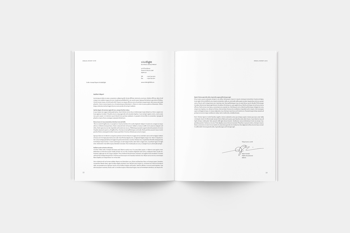 Annual Report, a Brochure Template by silukEight (Photo 11 of 12)