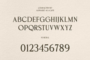 Goteca | Art Deco Classic Serif Font, a Serif Font by Hole Hope Design (Thumbnail 4 of 10)