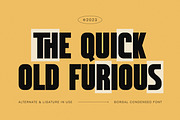 Borgal - Condensed Sans Serif Font, a Sans Serif Font by Imoodev (Thumbnail 7 of 10)