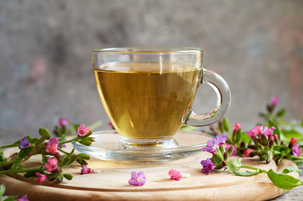 Herbal tea with fresh lungwort or pulmonaria flowers, a Food & Drink Photo by Madeleine Steinbach