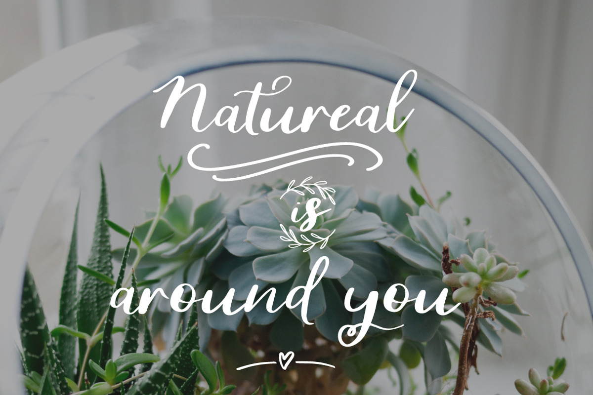 The Memorie Font DUO & Doodle preview 2