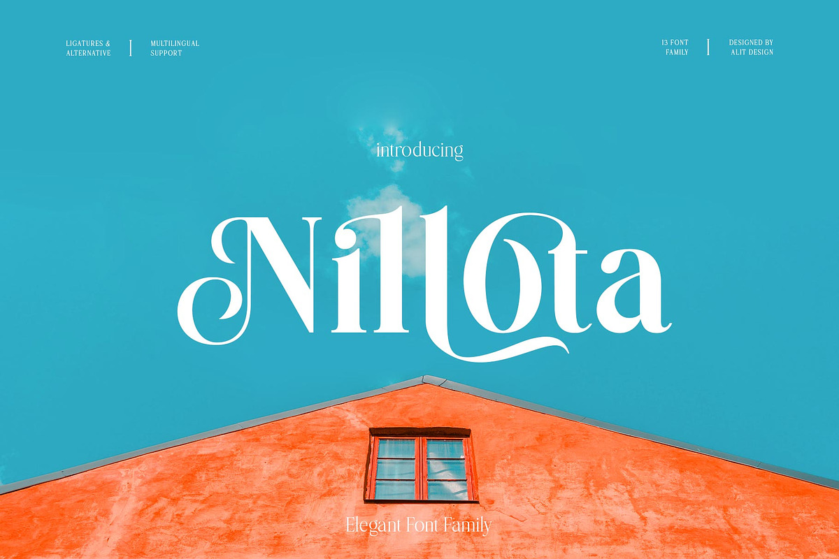 Nilota Typeface, a Serif Font by alit design (Photo 1 of 20)