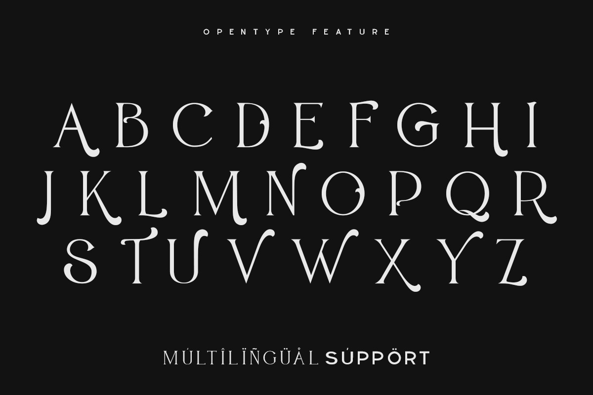 BROWN SUNFLOWER - FONT DUO, a Serif Font by din-studio.com (Photo 10 of 12)