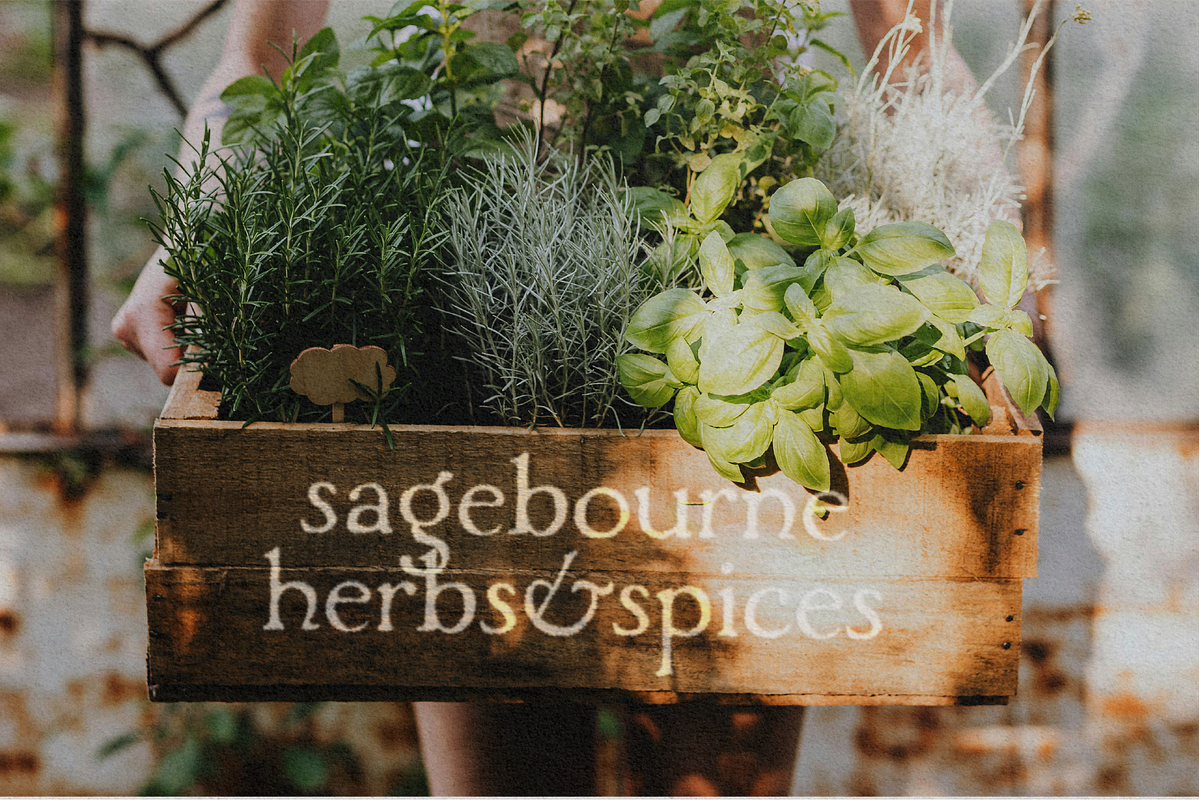 Woodlands - Vintage Hand-painted, a Serif Font by Harmonais Visual (Photo 15 of 23)