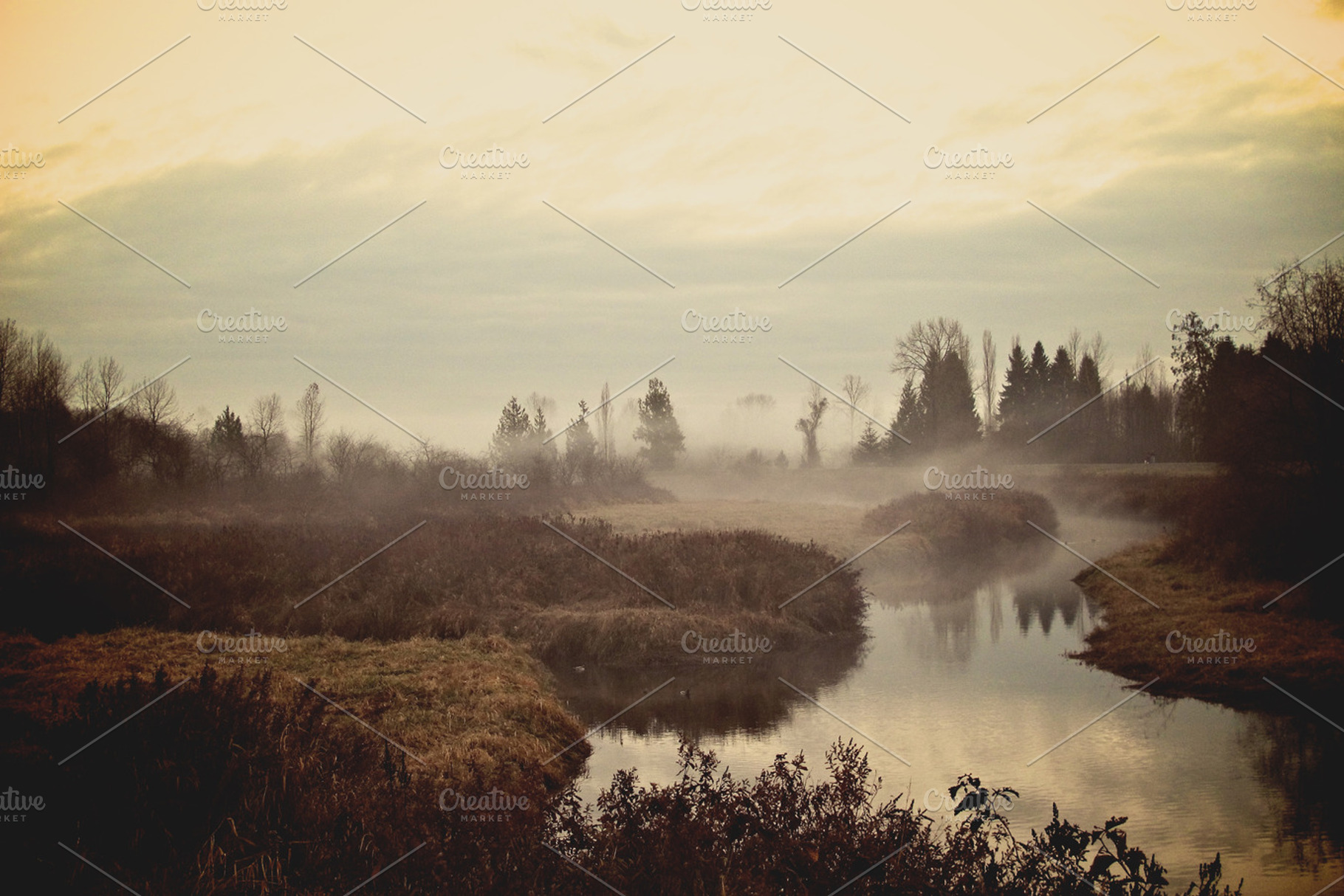 Morning Fog Stock Photo Containing Morning And Fog
