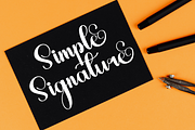 Budge, a Script Font by FreshTypeINK (Thumbnail 4 of 7)