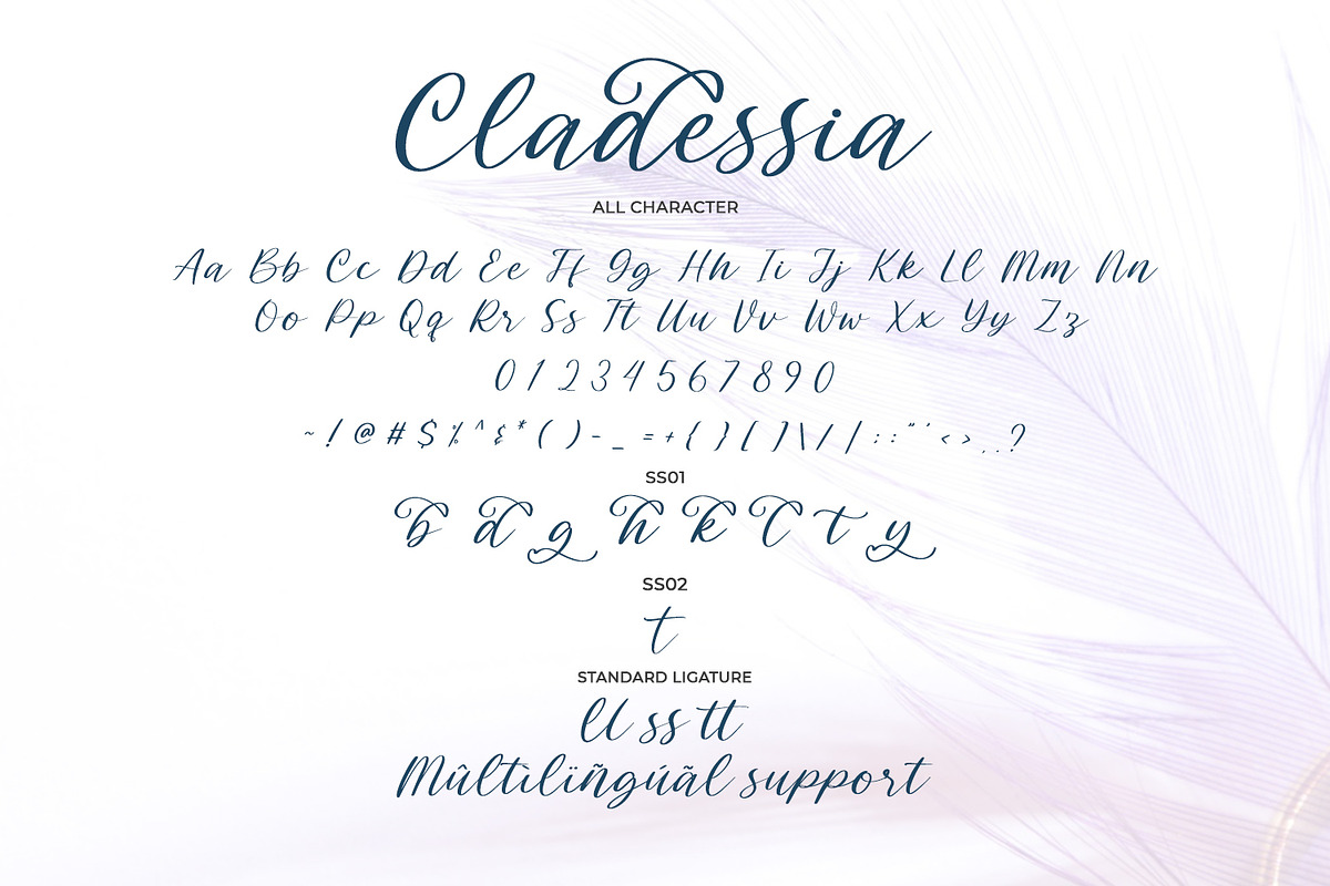 Cladessia, a Script Font by Ditatype (Photo 2 of 8)