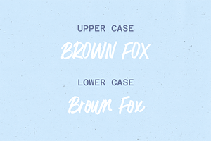 Surfer Bay Brush Font