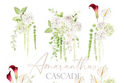 Watercolor Flower- AMARANTHUS, a Decorative Illustration by Beigetime (Thumbnail 4 of 15)