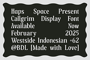 Callgrim - Serif Display Font, a Serif Font by Haps Space (Thumbnail 4 of 14)