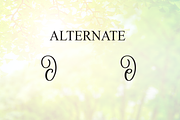 Sunshine | Script Font, a Handwritten Font by Scratchones (Thumbnail 8 of 9)