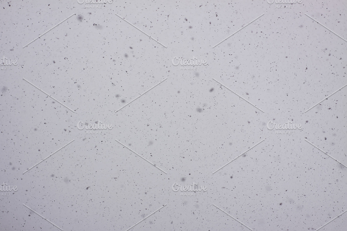 Snowfall textures and overlays, a Nature Photo by pictures for you (Photo 9 of 15)