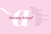 Decize Family, a Serif Font by Eurotypo (Thumbnail 3 of 6)