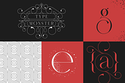 Type Monster - Elegant Font + Extras, a Serif Font by VP Fonts (Thumbnail 12 of 15)