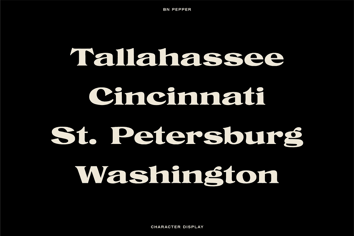 The Diverse Font Bundle, a Sans Serif Font by Bnick (Photo 28 of 34)