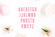 Haana Slab Serif Duo Font, a Slab Serif Font by Creativetacos (Thumbnail 2 of 6)