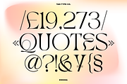 TAN - ENIGMA, a Serif Font by TanType (Thumbnail 14 of 16)