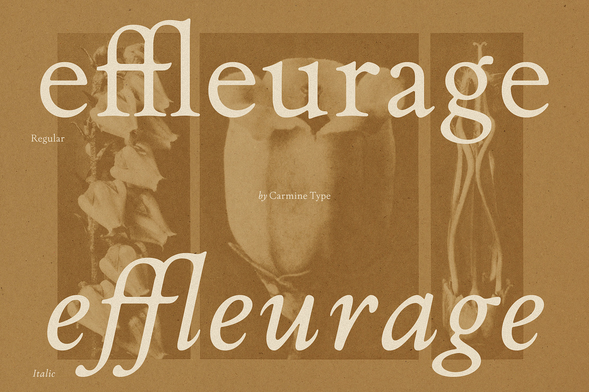 The Ashcombe Hall Oldstyle Serif, a Serif Font by CarmineType (Photo 18 of 24)