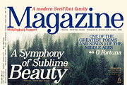 Poetria - Serif Font Family, a Serif Font by Artistic & Unique (Thumbnail 10 of 15)