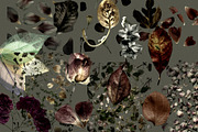Mystic Autumn Botanical Grain, a Background Graphic by Anzhelika (Thumbnail 11 of 12)