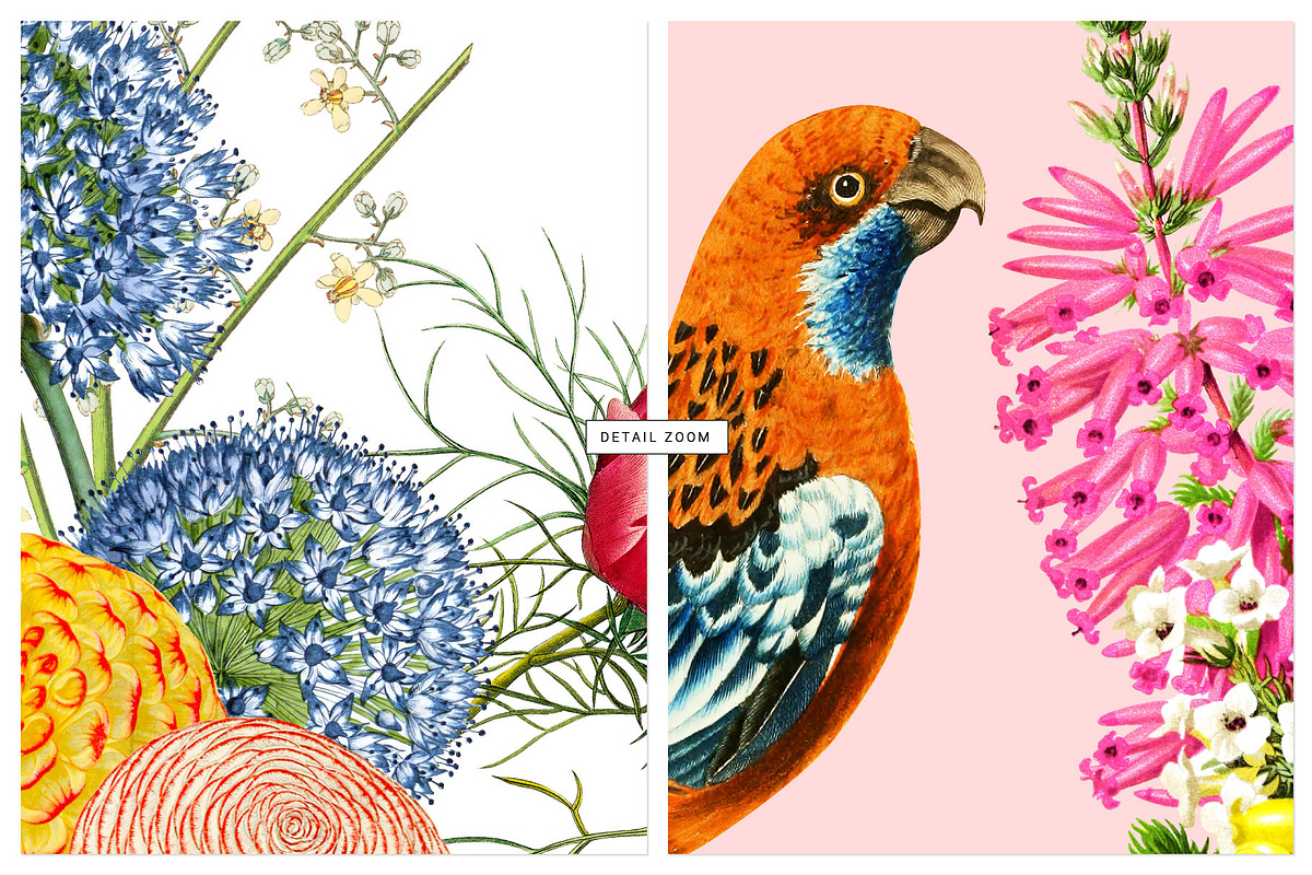 Paradise Florals Prints & Motifs, a Pattern Graphic by TSTUDIO (Photo 7 of 13)