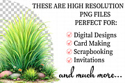Watercolor Spring Green Grass Clipar, an Illustration by Daily.Designs (Thumbnail 2 of 8)