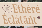 CS Dario – Bold Font, a Serif Font by Craft Supply Co. (Thumbnail 6 of 8)