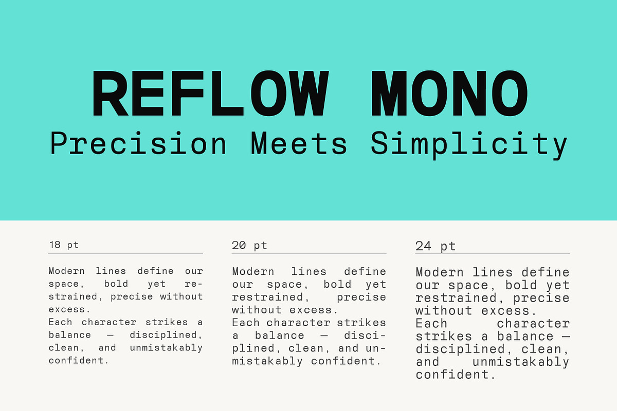 Reflow Mono Family | Intro 50% OFF, a Sans Serif Font by Lettertype Studio (Photo 4 of 15)