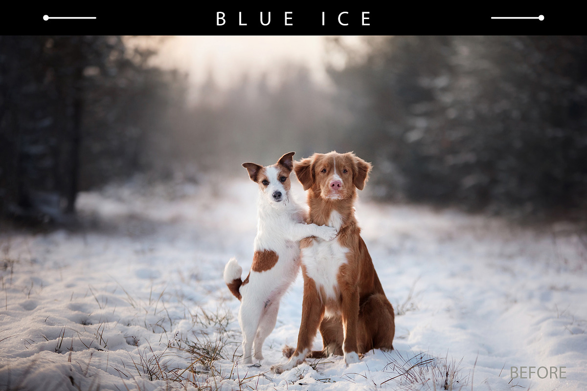 10 Snowy Lightroom Presets, a Plug-in Add-On by Prime Layers (Photo 2 of 9)