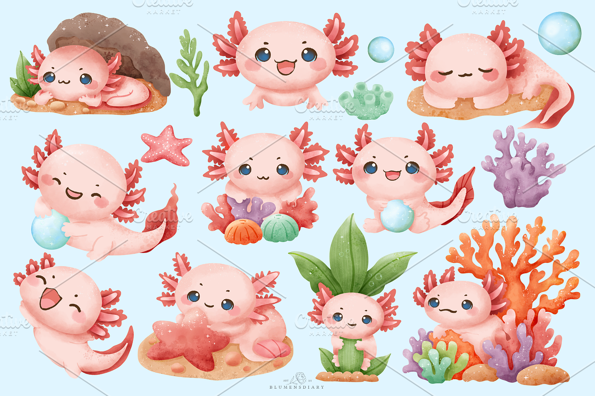 Axolotl Adventure Clipart, an Animal Illustration by Blumensdiary (Photo 2 of 6)