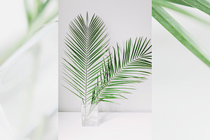 Modern & Fresh Palm Leaves