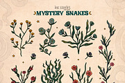 Mystery Snakes, an Animal Illustration by Ink Stories (Thumbnail 18 of 31)